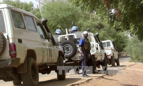 ООН сообщила о пяти погибших в Мали миротворцах - ảnh 1